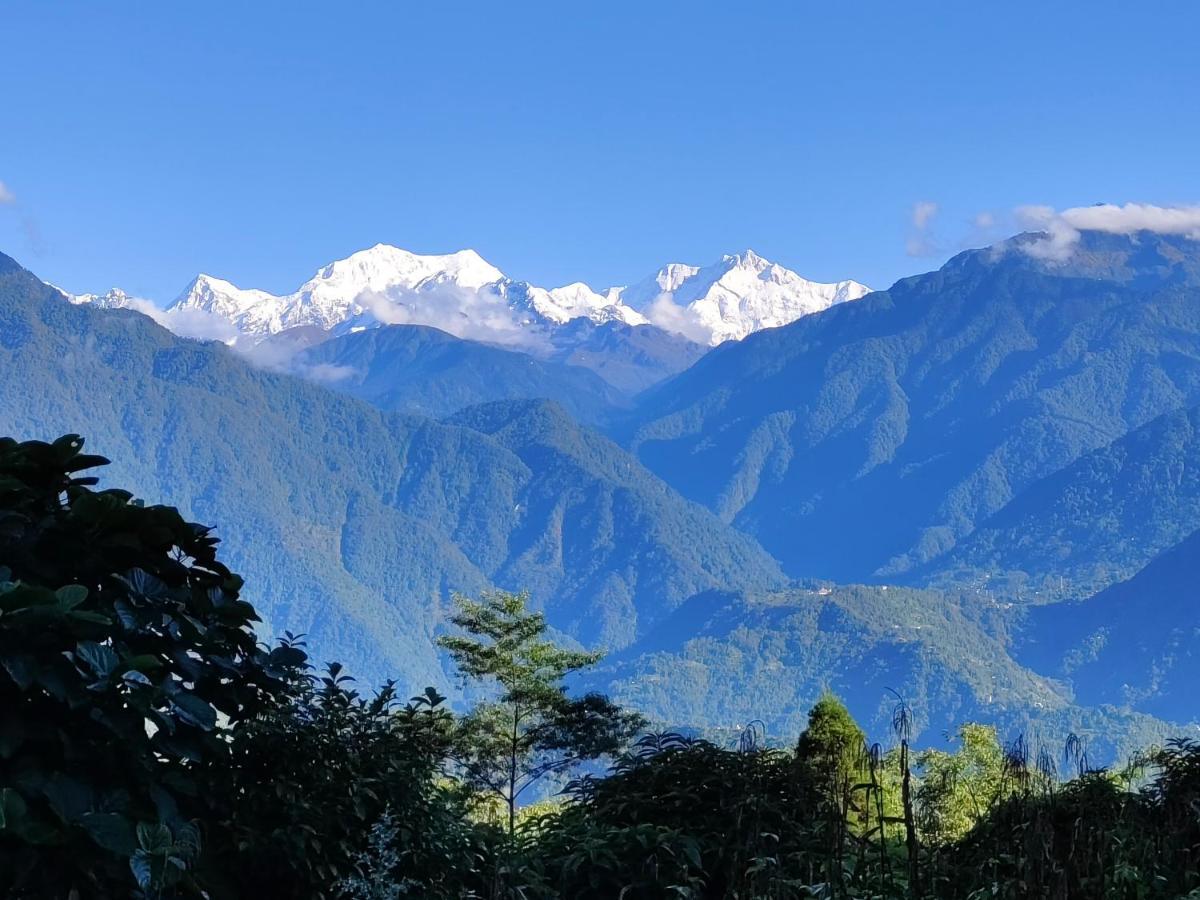 펠링 Wake In Himalayas 호스텔 외부 사진